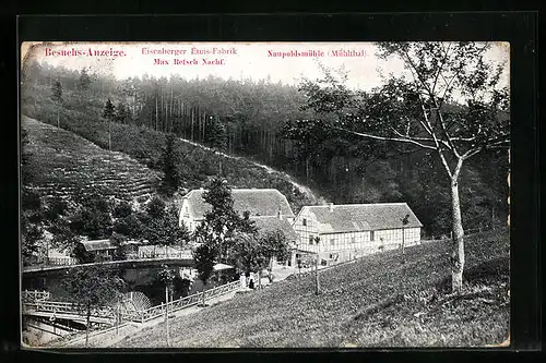 AK Eisenberg i. Thür., die Etuis-Fabrik Max Retsch, Naupoldsmühle im Mühltal