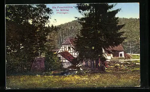 AK Eisenberg i. Thür., Blick auf die Froschmühle im Mühltal