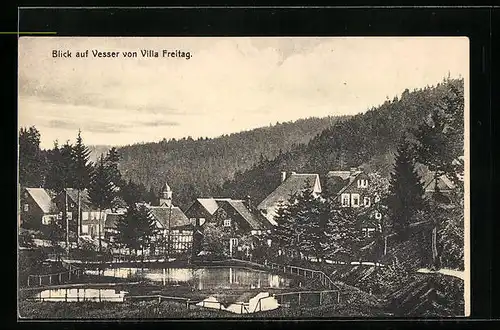 AK Vesser i. Thür., Blick auf den Ort von Villa Freitag aus