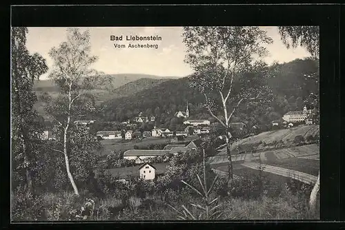 AK Bad Liebenstein, Ortstotale vom Aschenberg aus