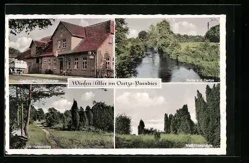 AK Winsen a. Aller, das Gasthaus Zur Erholung, Parkanlagen am Hahnenberg, an der Wacholdergruppe, Partie a. d. Oertze