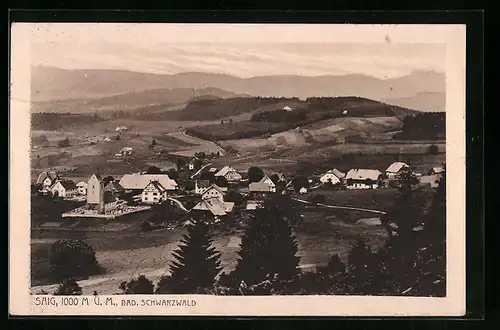 AK Saig /Bad. Schwarzwald, Teilansicht aus der Vogelschau