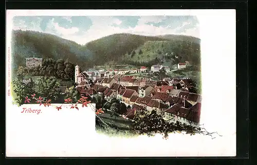 AK Triberg, Ortsansicht mit Kirche und Bergen