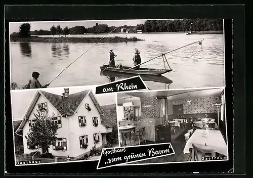 AK Auenheim am Rhein, Gasthaus zum grünen Baum