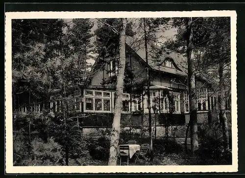 AK Hanstedt /Bez. Hamburg, Waldhaus Dierke, Gaststätte und Pension