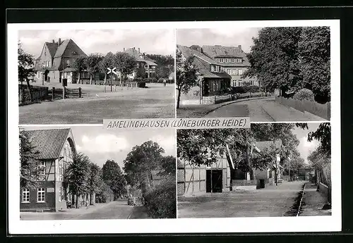 AK Amelinghausen /Lüneburger Heide, Ortspartien mit Bäumen