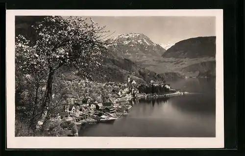 AK Gersau, Uferpartie bei Baumblüte