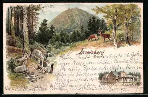 Lithographie Inselsberg, Heuberghaus, Hirsch und Reh auf einem Berg