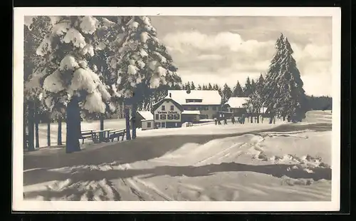 AK Zuflucht-Oppenau, Kurhaus u. Wintersportplatz Zuflucht