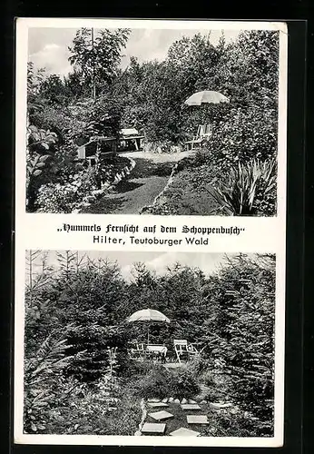 AK Hilter /Teutoburger Wald, Hummels Fernsicht auf dem Schoppenbusch, Mehrfachansicht