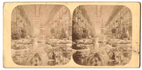 Stereo-Fotografie unbekannter Fotograf, Ansicht London, Crystal Palace, Gewächshaus Innenansicht