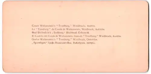 Stereo-Fotografie Underwood & Underwood, New York, Ansicht Waidbruck, Graf Wolkenstein's Trostburg