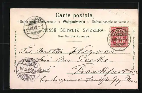 Lithographie Interlaken, Panorama