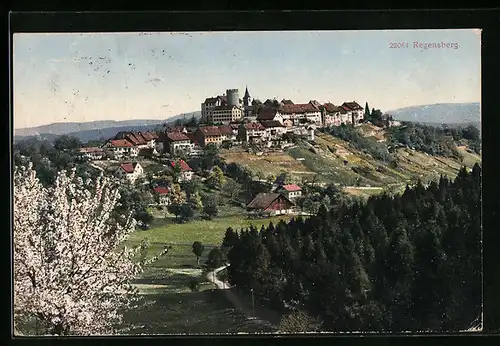 AK Regensberg, Teilansicht bei Baumblüte