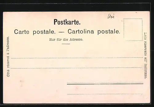 AK Göschenen, Teilansicht mit Dammagletscher