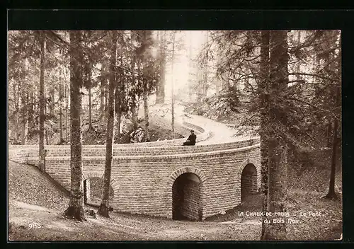 AK La Chaux-de-Fonds, Le Pont du Bois Noir