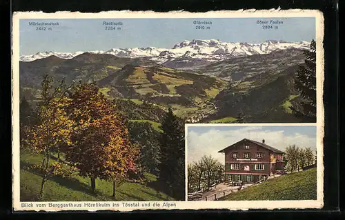 AK Hörnli-Kulm, Berggasthaus Hörnlikulm, Blick vom Gasthaus ins Tösstal und die Alpen