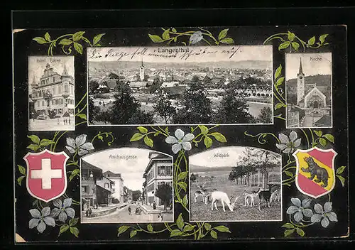 AK Langenthal, Hotel Bären, Kirche, Wildpark, Wappen