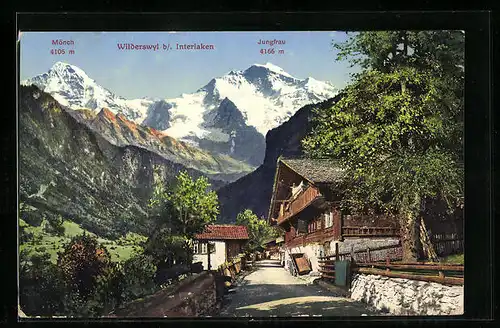 AK Wilderswyl bei Interlaken, Strassenpartie, Mönch und Jungfrau