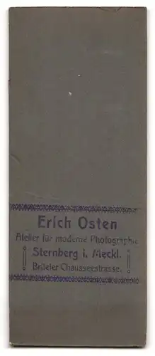 Fotografie Erich Osten, Sternberg i. Meckl., Brüeler Chausseestrasse, Junger Herr im Anzug mit Krawatte