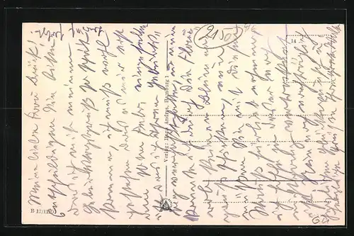 AK Buxtehude, Stader Strasse mit Villen