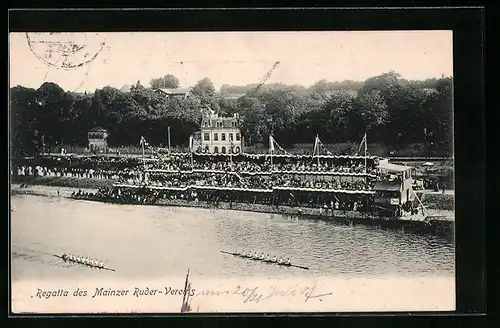 AK Mainz, Regatta des Mainzer Ruder-Vereins
