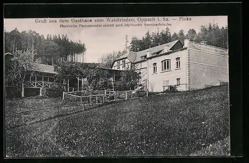 AK Oppach i. Sa., Gasthaus zum Waldfrieden