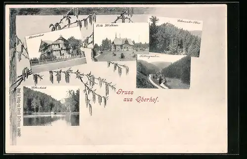 AK Oberhof, Hotel Marienbad, Villa Weidhaas, Gebrannter Stein