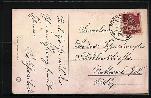 AK Richterswil, Insel Schönenwerd