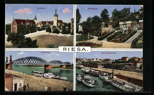 AK Riesa, Stadtpark, Rathaus, Elbbrücke und Landungsplatz
