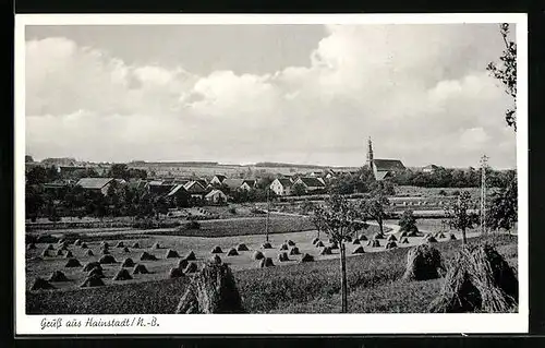 AK Hainstadt /N.-B., Blick auf Ort mit Heuhaufen