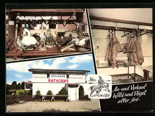AK Kellinghusen, Fellgerbung und zoolog. Präparation Rathjen