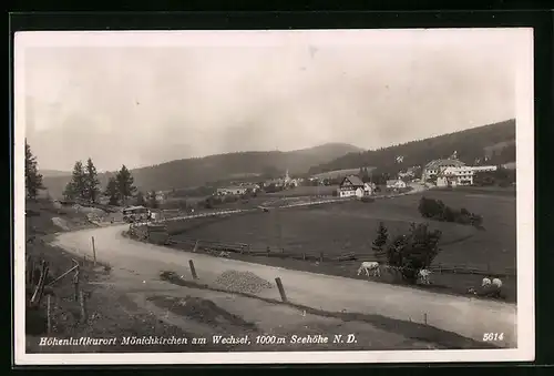 AK Mönichkirchen am Wechsel, Ortsansicht aus der Vogelschau