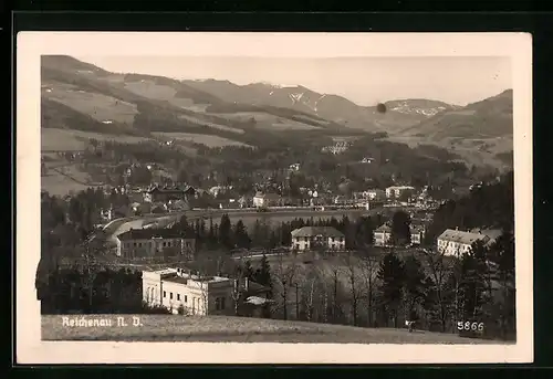 AK Reichenau, Ortsansicht aus der Vogelschau