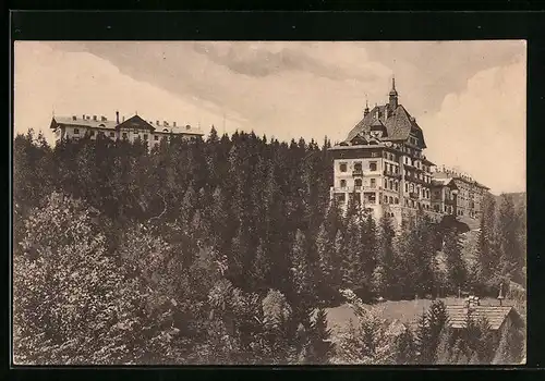 AK Semmering, Waldhof, Südbahnhotel