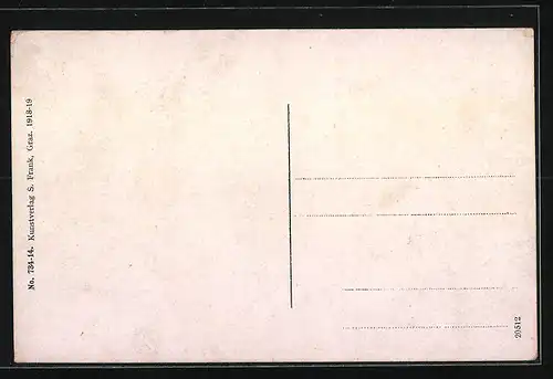 AK Reichenau, Ortsansicht aus der Vogelschau