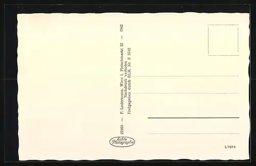 AK Amstetten /Niederdonau, Ortsansicht aus der Vogelschau