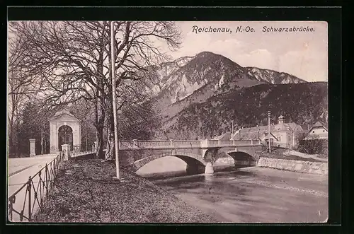 AK Reichenau, Blick auf Schwarzabrücke