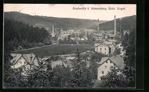AK Buschmühle b. Schmiedeberg /Sächs. Erzgeb., Ortspartie