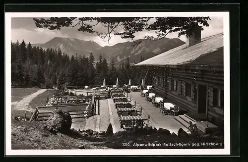 AK Rottach-Egern, Gasthaus am Alpenwildpark gegen Hirschberg