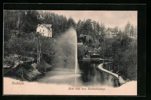 AK Buchholz, Blick nach dem Waldschlösschen