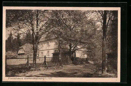 AK Ahrendsberg i. H., Forsthaus, Strassenansicht