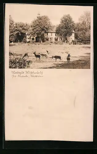 AK Körbecke, Waldgut Wilhelmsruh