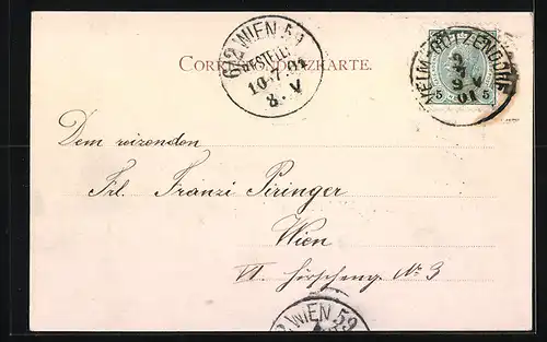 AK Götzendorf-Velm, Blick zur Weinkellerei, Totalansicht vom Ort