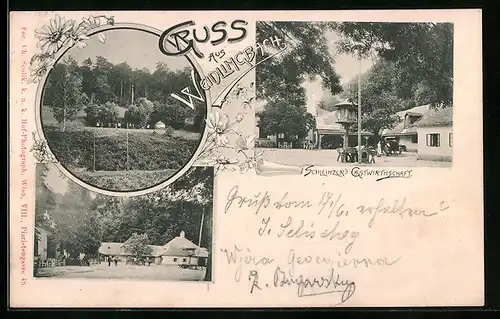 AK Weidlingbach, Schleinzer`s Gasthaus, Ortsansicht