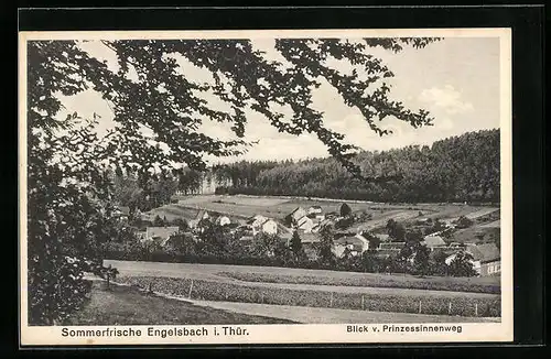 AK Engelsbach i. Thür., Blick v. Prinzessinnenweg