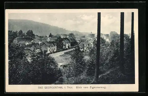 AK Bad Georgenthal i. Thür., Blick vom Zigeunerweg