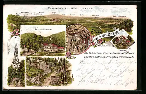 Lithographie Harzburg, Panorama v. d. Asse gesehen, Gast- u. Logirhaus zur Asse, Aussichtsturm, Burgruine
