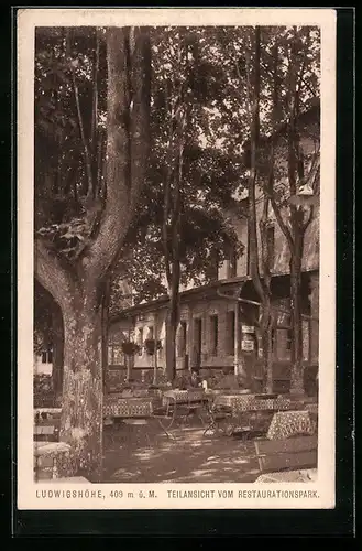 AK Rückersdorf, Gasthof Ludwigshöhe, Teilansicht vom Restaurationspark