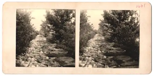 Stereo-Fotografie NPG, Berlin-Steglitz, Ansicht Bern, Münster Vorderansicht